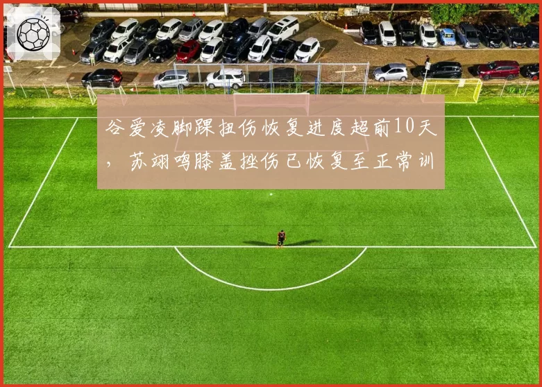 谷爱凌脚踝扭伤恢复进度超前10天，苏翊鸣膝盖挫伤已恢复至正常训练水平