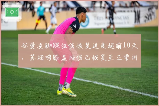 谷爱凌脚踝扭伤恢复进度超前10天，苏翊鸣膝盖挫伤已恢复至正常训练水平