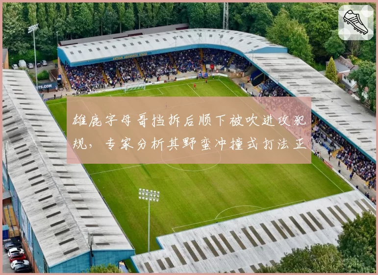 雄鹿字母哥挡拆后顺下被吹进攻犯规，专家分析其野蛮冲撞式打法正在被裁判惩罚