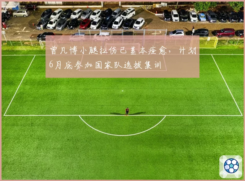 曾凡博小腿拉伤已基本痊愈，计划6月底参加国家队选拔集训