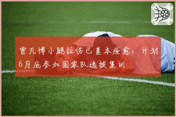 曾凡博小腿拉伤已基本痊愈，计划6月底参加国家队选拔集训