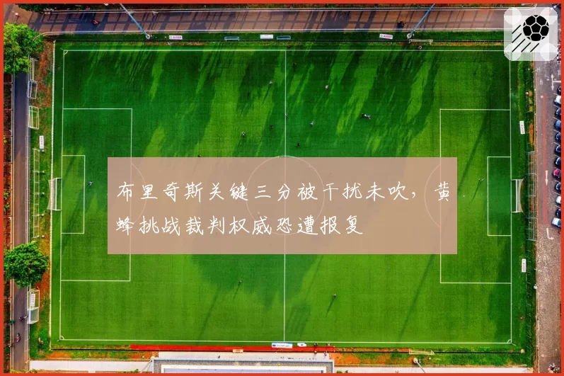 布里奇斯关键三分被干扰未吹，黄蜂挑战裁判权威恐遭报复